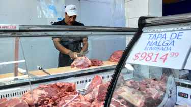 La Justicia rechazó un planteo de los ganaderos de Río Negro contra la apertura de la barrera sanitaria