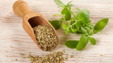 Oregano