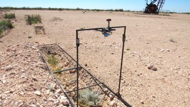 La labor de la Universidad en los suelos afectados busca una recuperación, en la que serían claves la flora nativa - Foto: Gentileza UNCo.