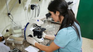 Búsqueda laboral en Salud de Neuquén: para más más de 100 vacantes en puestos sanitarios, técnicos y administrativos