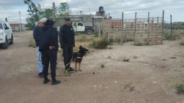 Femicidio en San Antonio Oeste: imputaron a los dos sospechosos de matar e incinerar a una mujer 