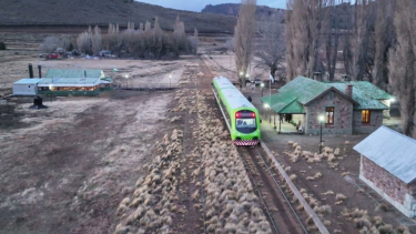 El tren turístico va de Bariloche a Perito Moreno, una oportunidad para conocer la estepa rionegrina. Foto gentileza. 