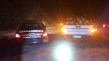 Talaron especies autóctonas. Foto: gentileza.