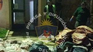 Decomisaron más de 4.000 kilos de carne en Rincón de los Sauces: iban de Mendoza a Neuquén