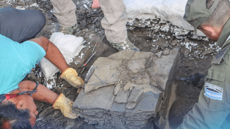 490351183_1330395858449448_357239010345734597_n