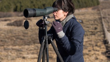 En San Martín de los Andes, la bióloga estudia a los guanacos silvestres. Foto: gentileza.