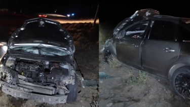 Chocó contra un caballo en la Ruta 237, en Piedra del Águila: qué pasó con los dos ocupantes del auto y el animal