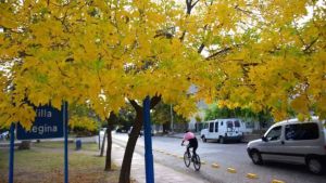 ¿Abrigo o manga corta? El clima este lunes en Neuquén y el Alto Valle estará marcado por la inestabilidad
