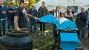 Innovación en la Patagonia: primeras cosechas de cáñamo para aceites y construcción