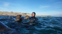 Imagen de Puerto Madryn en otoño: un finde largo con orcas, snorkel con lobos marinos y sabores patagónicos