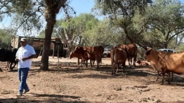 INTA: Encuentro de Ganadería.-