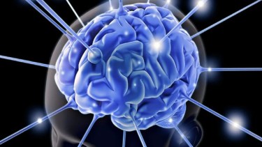 Cuáles son los 3 signos que nacieron con un coeficiente intelectual muy alto y no lo saben 