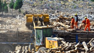 Cuando el Estado llega antes: la logística del Operativo Leña