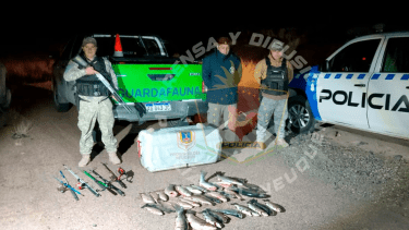 Los elementos secuestrados en los controles. Foto: gentileza.