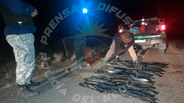 Los ejemplares retenidos por el personal de Fauna y policial.