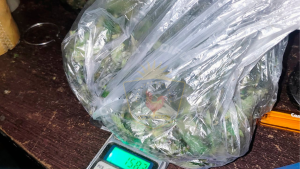 Investigaban un hurto y encontraron droga tras dos allanamientos en Villa La Angostura: hay un detenido