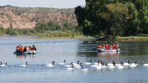 Feriado largo por Semana Santa en Neuquén Capital: actividades para hacer en la ciudad y los alrededores