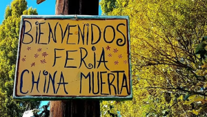 China Muerta: la feria cercana a Neuquén Capital, ideal para ir en bicicleta entre las chacras