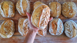 Con sabor artesanal: la pasión por el pan de masa madre que florece en General Roca