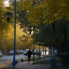 Imagen de Viernes gris con mínimas bajo cero en Neuquén y Río Negro: ¿qué dice el pronóstico para el Alto Valle, la cordillera y la costa?
