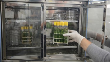 ANMAT dejó sin efecto las habilitaciones de 60 droguerías y laboratorios: trabajaban con certificados vencidos