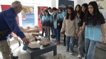 Imagen de Fósiles en la terminal de Roca y un nuevo atractivo: el Espacio de Estudios Paleontológicos