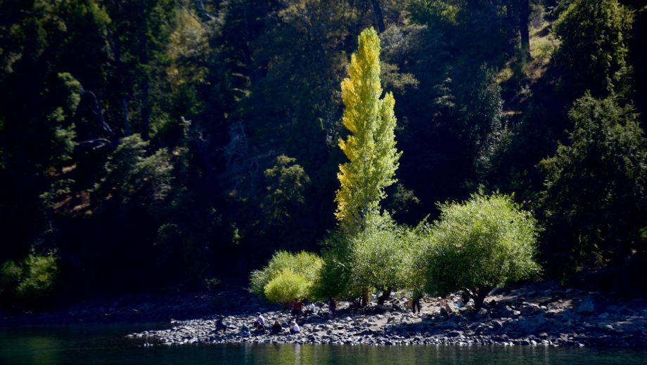 Encontraron un cuerpo calcinado en Quila Quina, San Martín de los Andes. (Foto ilustrativa: Matías Subat).