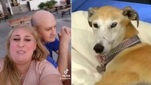 Gran Hermano: hoy despiden a “Paris” y recibirán la visita del “Bicho”, el marido de Selva 