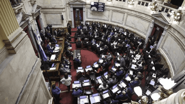 En vivo | El Senado le rinde homenaje al papa Francisco este jueves, tras postergar la sesión por Ficha Limpia