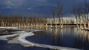El “pueblo Guinness” que fue set de una película de terror y sigue atrayendo todo el año