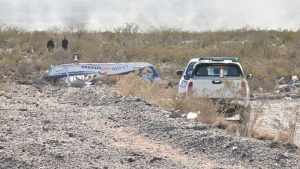 Video | Un muerto por un accidente con una avioneta en Allen: confirmaron la identidad del joven, investigan lo ocurrido