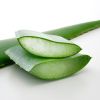 Imagen de Los grandes beneficios del aloe vera para el cabello: cómo aplicarlo y qué resultados esperar