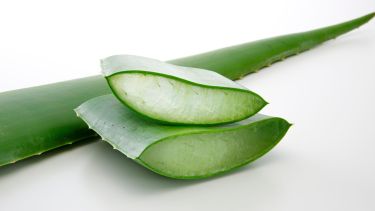 Incorporarlo a la rutina capilar puede ser un cambio pequeño pero poderoso para lucir un cabello más saludable todos los días.

