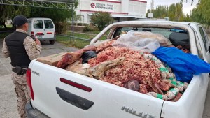 Masivo decomiso de carne en Cipolletti y Fernández Oro secuestró más de 3 toneladas