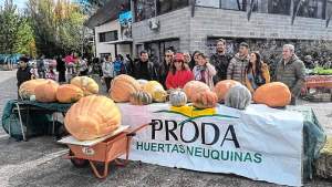 El ranking de zapallos gigantes en Neuquén: quiénes son los ganadores del concurso de Proda