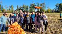 Imagen de Gran cosecha comunitaria en la Universidad del Comahue: lo que se siembra se comparte 