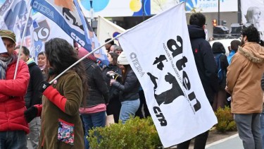 Mañana vence el plazo de impugnaciones y el 4 de mayo será la oficialización. Foto Florencia Salto.