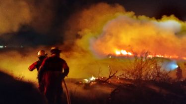 Seis dotaciones apagaron el fuego en Senillosa. Foto: Gentileza. 