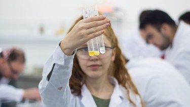 Las actividades se ponen en marcha este lunes. Foto: gentileza