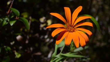 Plantar en otoño es preparar el terreno para que, cuando llegue la primavera, el jardín explote en flores y energía patagónica.

