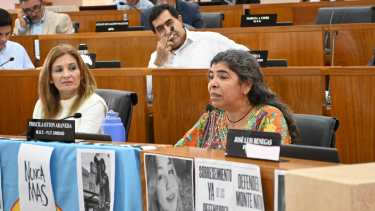 Otton sesionará los días 12 y 26 de junio y en julio dejará la banca por la rotación (foto Florencia Salto)