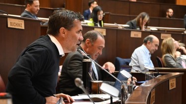 Darío Martínez defendió el proyecto para levantar la barrera sanitaria. Foot: Florencia Salto.