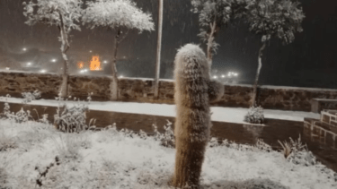 Video | La nieve, antes que a la Patagonia, llegó a Jujuy: las bellas imágenes del norte cubierto de blanco