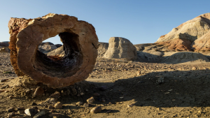 El bosque petrificado de la Patagonia: dónde queda, qué se puede hacer y cuándo es la mejor época para ir