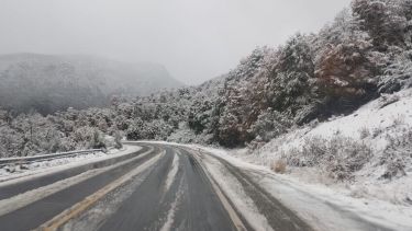 Nieve en la Ruta 40. Foto: Gentileza. 