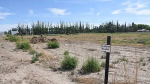 Cámara de Apelaciones modifica subasta de valioso terreno en Roca: precio base y reglas actualizadas