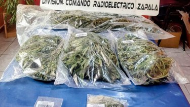 Adolescentes vendían droga en un descampado de Zapala: tenían casi dos kilos de marihuana en sus mochilas 