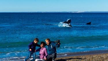 Ballenas a la vista: habilitan el camino a El Doradillo, la mejor playa del mundo