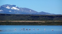 Imagen de El Parque Nacional Laguna Blanca hoy está de aniversario y se prepara para la pesca invernal