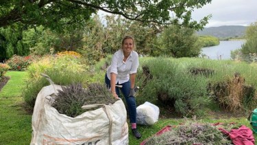 Tierra de Brotes: lavandas, bosque nativo y una nueva forma de viajar en Trevelin